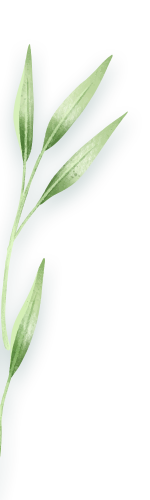 shape-01 shape-01